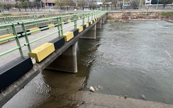 Vụ vali chứa thi thể ở trung tâm thành phố: Bắt giữ con gái và con rể nạn nhân