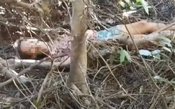 Giải cứu người phụ nữ mất tích 10 ngày trong rừng sâu ở Gia Lai