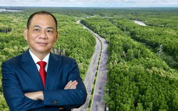 Vingroup của tỷ phú Phạm Nhật Vượng muốn chi 19.000 tỷ mở rộng tuyến đường xuyên rừng ngập mặn đẹp nhất cả nước, nối thẳng đại đô thị 10 tỷ USD lên 10 làn
