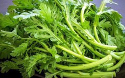 Loại rau là "món ăn của Hoàng đế", hương thơm độc đáo, tươi mát