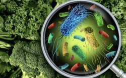 Vụ hàng chục học sinh tiểu học sốt, đau bụng: Nguyên nhân ban đầu hé lộ điều gì?