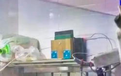 Người đàn ông dùng loa phóng thanh kể chuyện ma suốt 10 tiếng mỗi ngày để trả thù hàng xóm