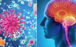 Cà Mau ghi nhận 3 trường hợp nghi viêm não mô cầu, 1 người tử vong