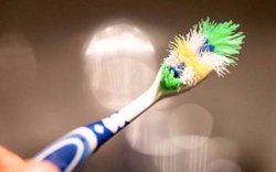 Bao lâu nên thay bàn chải đánh răng 1 lần?