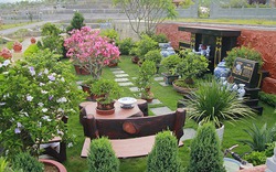 5 loại cây nên trồng trước mộ tổ tiên: Tăng phúc lộc, giữ vững vận khí dòng tộc