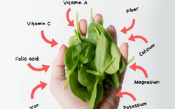 2 loại rau cực bổ mắt, hễ ra chợ là thấy bán