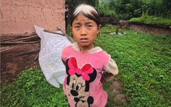 Cô bé 10 tuổi tóc đã bạc trắng vì mất mẹ, gồng mình nuôi cả gia đình