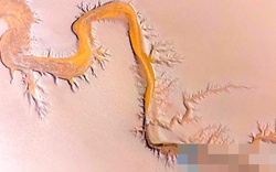 "Rồng" bất ngờ xuất hiện trên mặt sông dịp Thanh Minh, cảnh tượng từ trên cao khiến dân mạng xôn xao