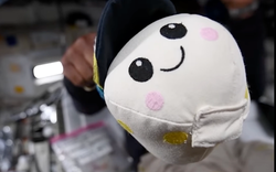 Cậu bé 8 tuổi tạo gấu bông chỉ báo không trọng lực trên tàu Orion Artemis II