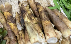 Ăn 1 loại rau khi đói bụng, người đàn ông nhập viện vì xuất huyết dạ dày, bác sĩ nhăn mặt: "Làm thế khác gì cọ sắt chà thành dạ dày?"