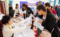 Cục thuế ra thông tư mới: Doanh thu hộ kinh doanh không còn “ước lượng, tự khai”