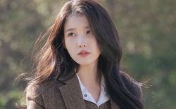 “Đừng cho IU đóng phim nữa, cô ta chỉ là 1 đứa trẻ con cố bắt chước người lớn”