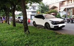 Lời khai của Ninh Tuyết Anh - người phụ nữ đâm chết bạn trai ở TP.HCM