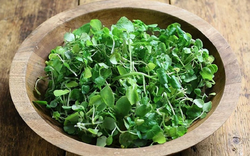 Loại rau nhiều người Việt "né" nhưng Mỹ ca ngợi thuộc top tốt "bậc nhất thế giới"