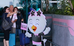 Không phải Tân Sơn Nhất hay Nội Bài, đây là nhà ga quốc tế duy nhất tại Việt Nam được đánh giá 5 sao