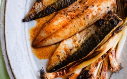 Kỳ lạ loại cá nhiều chất béo nhưng lại giúp giảm mỡ máu: Tiến sĩ Mỹ khen ngợi hết lời, Việt Nam có nhiều