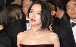 Giải oan cho Thư Kỳ