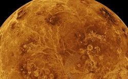 Sao Kim có thể có sự sống, nguồn gốc gây bất ngờ