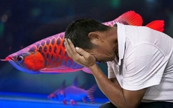 Nuôi cá rồng đỏ trị giá 170 triệu đồng suốt 4 năm, cá chết liền kiện công ty nước đòi bồi thường, tòa tuyên bố: Lỗi là do ông