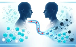 Bị HIV gần 20 năm, người đàn ông bất ngờ "sạch virus HIV", khỏi cả ung thư sau ca ghép từ anh trai: Điều gì đã xảy ra?