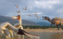 Quái vật thế giới "trỗi dậy" từ khối đá trong bảo tàng