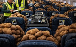 Thí nghiệm lạ của Boeing: Lấp đầy khoang bay bằng khoai tây để đo tín hiệu Wi-Fi