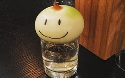 Không phải mê tín, giờ mới biết vì sao nhiều nhà luôn đặt 1 củ hành tây trong phòng ngủ