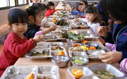 Bữa ăn bán trú tại một quốc gia châu Á khiến 9 triệu người phát cuồng: Khay ăn có tới 7 ngăn, nhà nước trợ giá tới 80%, giáo viên dinh dưỡng lên thực đơn hàng ngày