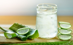 Uống nước cây lô hội có tác dụng gì?