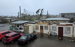 Siêu bão mạnh nhất hành tinh Sinlaku gây thiệt hại diện rộng: Lật úp ô tô, bật gốc cây cối và thổi bay nhiều mái nhà