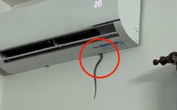 Cảnh báo việc rắn chui vào điều hoà