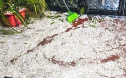 Chiều tối nay nhiều nơi đón mưa dông, nguy cơ lốc sét kèm mưa đá