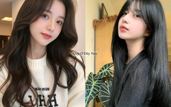 5 dầu gội bồ kết "made in Vietnam" giúp tóc chắc khỏe và đen nhánh không cần nhuộm