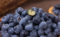 Người phụ nữ 61 tuổi kiên trì ăn việt quất mỗi sáng suốt 4 năm, kết quả khám khiến bác sĩ gật gù: "Cách này rất ổn"