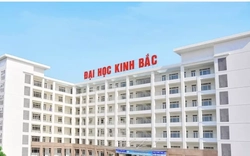 Bắt Phó Chủ tịch Hội đồng Trường Đại học Kinh Bắc Nguyễn Thị Tuyết Hồng