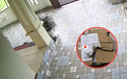 Shipper khẳng định đã giao hàng nhưng chủ nhà tìm mãi không thấy: Đoạn camera an ninh "rửa oan"
