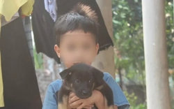 Chuyện lạ ở Phú Thọ: Hai đứa trẻ 7 và 11 tuổi không giấy khai sinh, không được đến trường