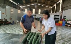 Tiết lộ khoản "hoa hồng" cho hiệu trưởng để tuồn thịt lợn bệnh vào trường học