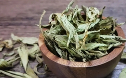 Loại lá khô ngọt gấp 300 lần đường mía nhưng lại không gây tăng đường huyết, tốt cho tim mạch: Việt Nam bán nhiều