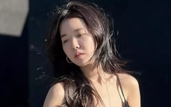 Nhiều nghệ sĩ phải xin lỗi