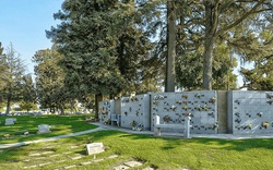 “Thế giới sự sống” gây sốc bên dưới nghĩa trang New York