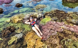 Thực hư việc du khách nằm, ngồi lên san hô để chụp ảnh