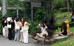 Sau loạt cảnh báo leo trèo nguy hiểm tại Thảo Cầm Viên: Giới trẻ nâng cao ý thức, đội nắng xếp hàng săn ảnh giống Sơn Tùng M-TP