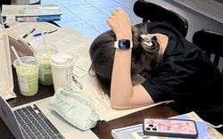 5 dấu hiệu của người hợp học lên cao học