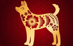 Đầu năm, giữa năm "không rực rỡ cũng chẳng sao", 4 con giáp được dự đoán cuối năm sẽ bứt tốc ngoạn mục về học tập và sự nghiệp!