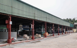 Cận cảnh lò mổ tuồn gần 300 tấn lợn bệnh vào trường học, chợ đầu mối ở Hà Nội