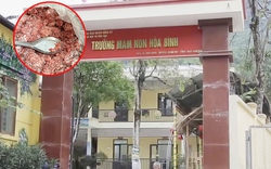 Phụ huynh tự bỏ tiền xét nghiệm, phát hiện thịt lợn nhiễm khuẩn E.coli và tả châu Phi: Hiệu trưởng nói gì?