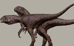 Quái vật 201 triệu tuổi "trỗi dậy" từ mỏ đá ở Mỹ