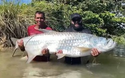 Ngư dân câu được con cá khổng lồ dài 1,89 mét trên sông