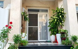 Lời khuyên cho những gia đình đang trồng cây trước cửa